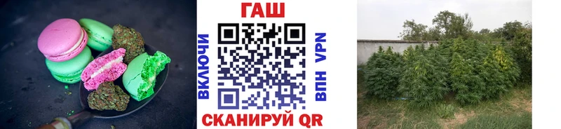 купить наркоту  Великие Луки  Печенье с ТГК конопля 