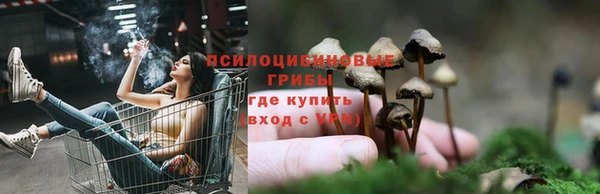мескалин Сафоново