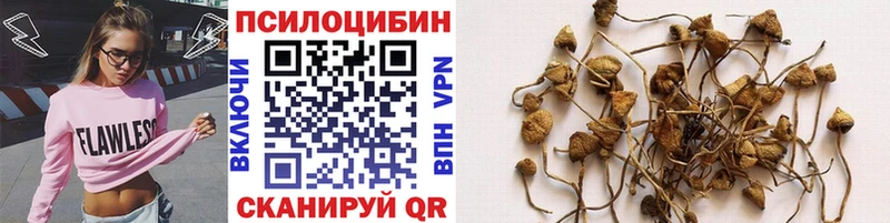 Псилоцибиновые грибы мицелий Великие Луки