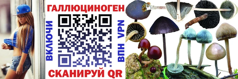 Псилоцибиновые грибы прущие грибы  продажа наркотиков  Великие Луки 