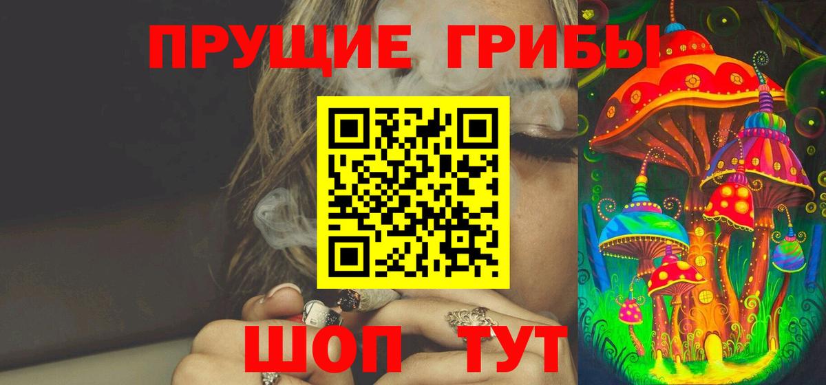 Псилоцибиновые грибы Psilocybe Великие Луки