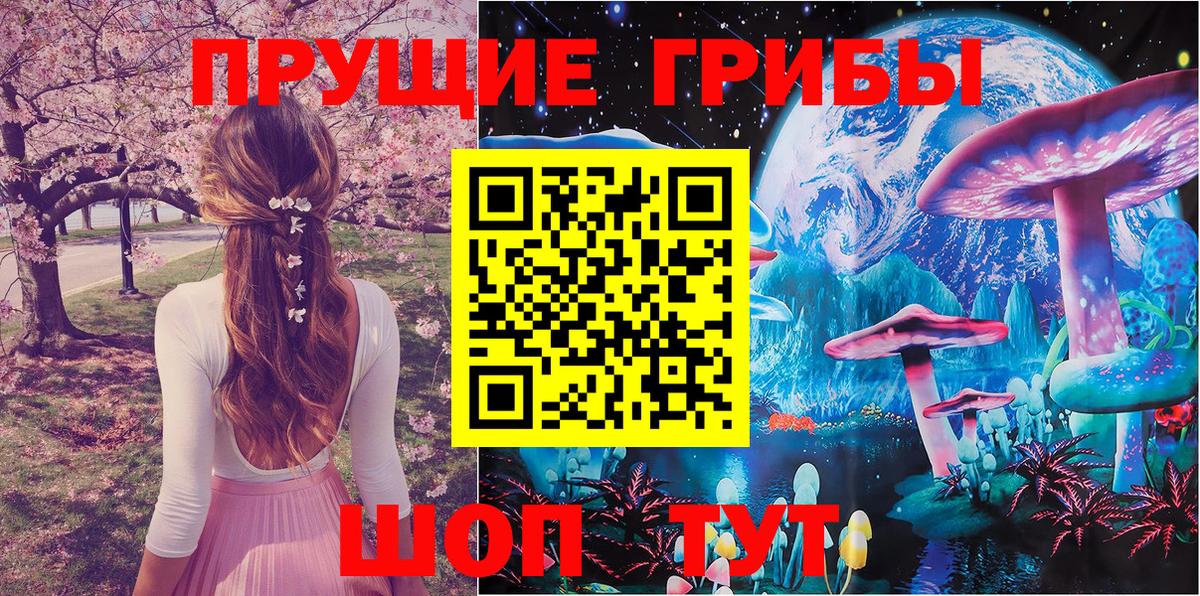 Галлюциногенные грибы мухоморы Великие Луки